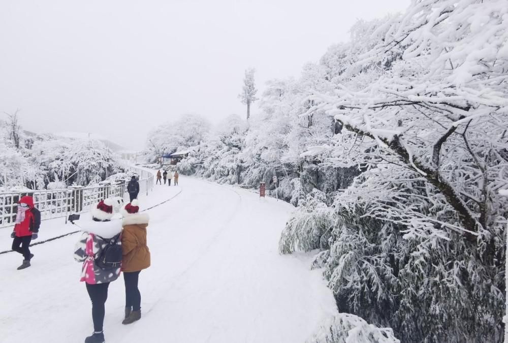 踏雪|金佛山再降大雪，游客踏雪出游，畅享冰雪温泉之乐