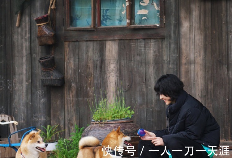 嘉宾|导演为何只选张子枫一位常驻女嘉宾看完首期节目后,终于明白了