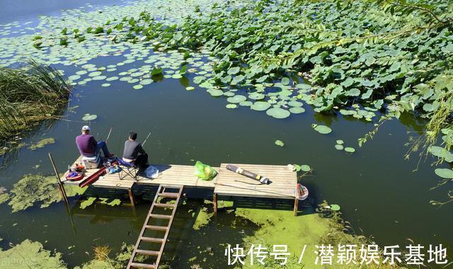 鲫鱼|一套冬季钓鲫鱼的黄金公式,适用任何自然水域,从选点标准到垂钓