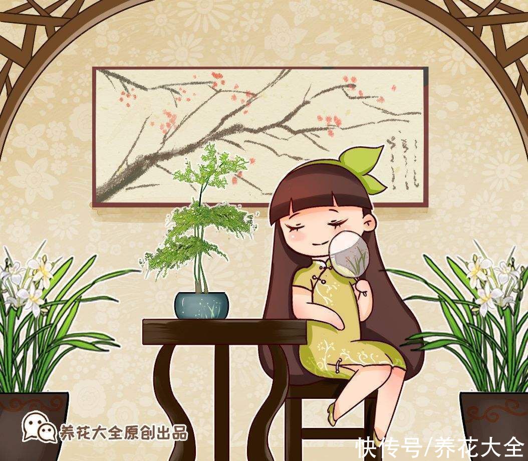 报岁兰|兰花品种多,中国兰花五大品种,你知道吗?