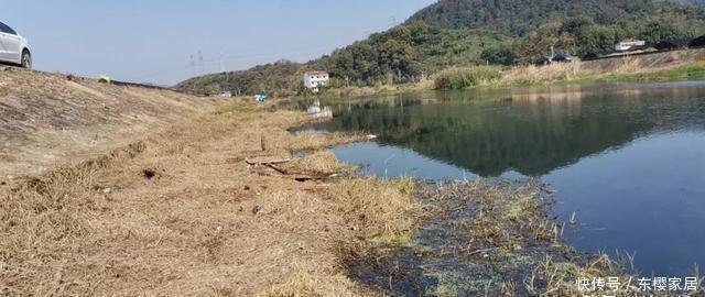 钓友|冬季钓鱼到底是晴天好还是雨天好？选对天气才能钓得更多