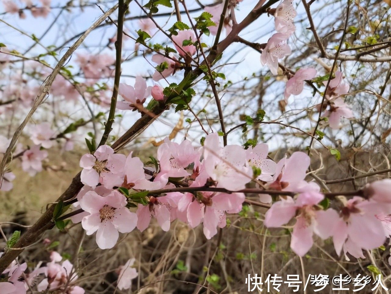 下雨|“八月十六一场雨，有家之女不向西”，八月十六下雨，有啥预兆？