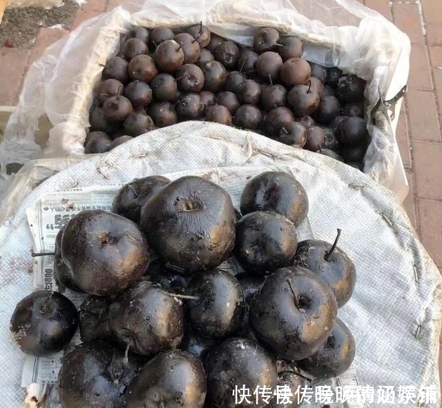 东北大哥路边卖它，8元1斤，无人识货，我全买下过年吃最好