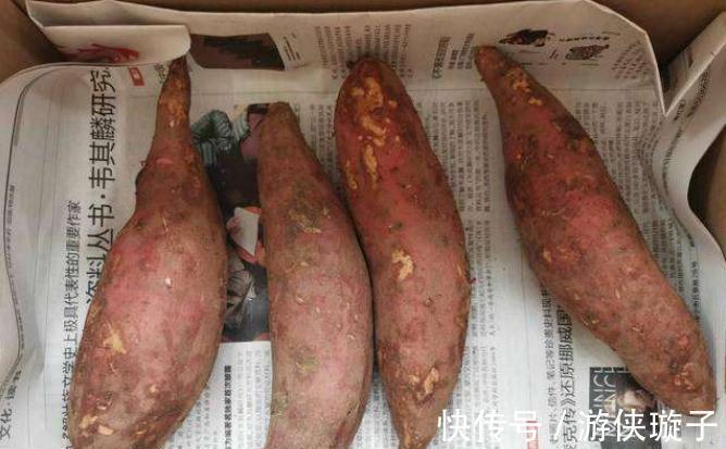 红薯随便放,难怪会发芽发霉!做好2个步骤,放一冬不烂不长芽