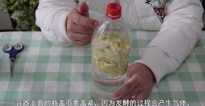 效果|吃剩的柚子皮不要扔,泡一泡用来浇花,效果超好