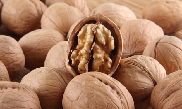 不饱和脂肪酸|吃核桃护心脑血管,营养师提醒:1种核桃别吃了,会增加癌症风险