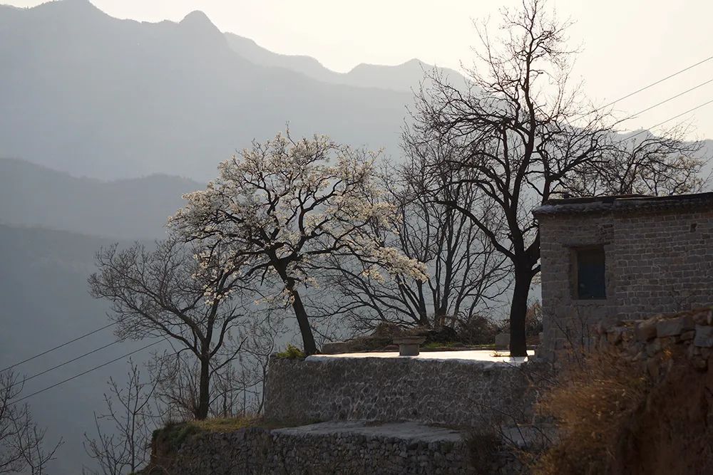 风景区|每日一景：井陉美——辛庄乡