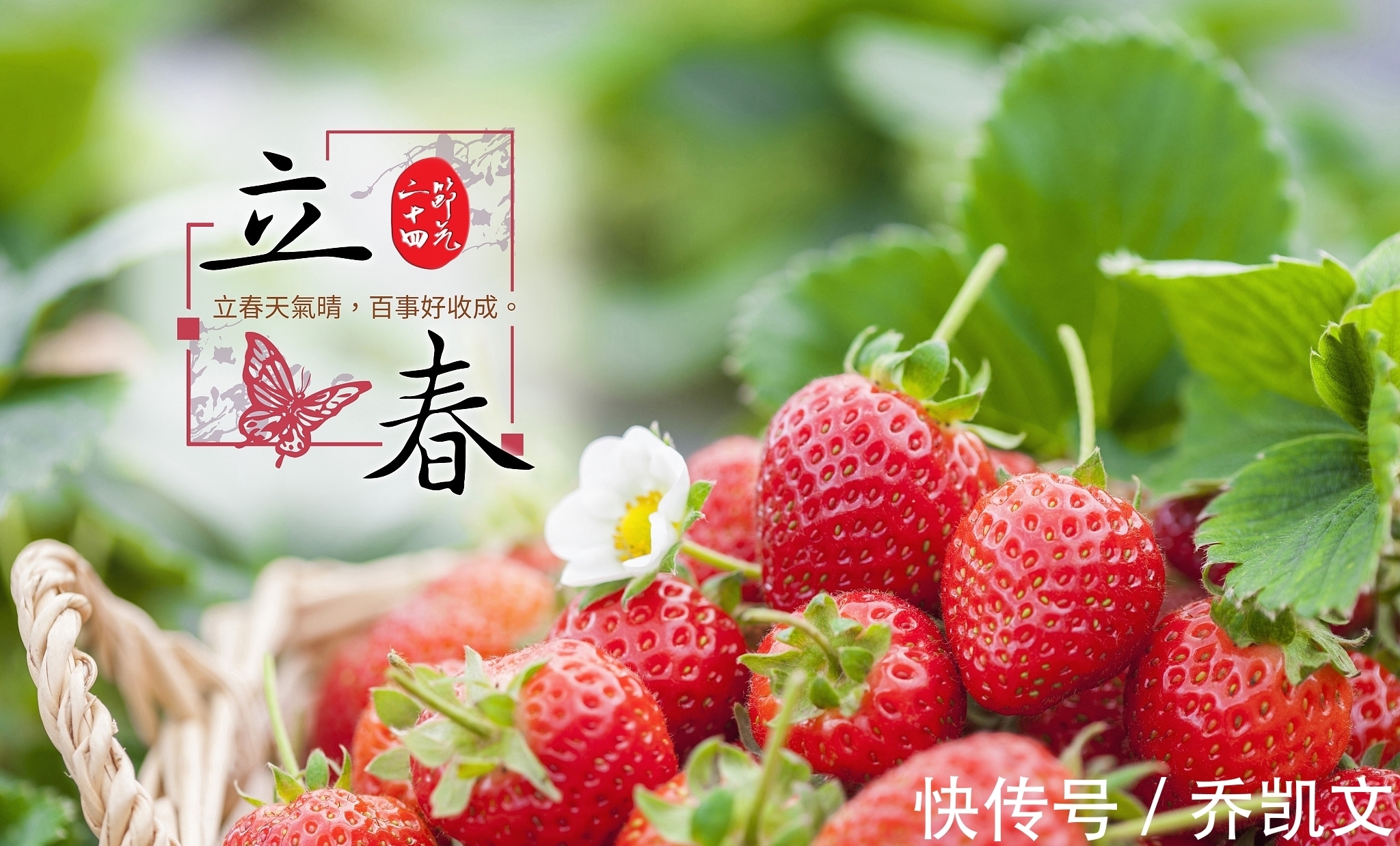 腊酒&立春节气,赏析辛弃疾《汉宫春·立春日》