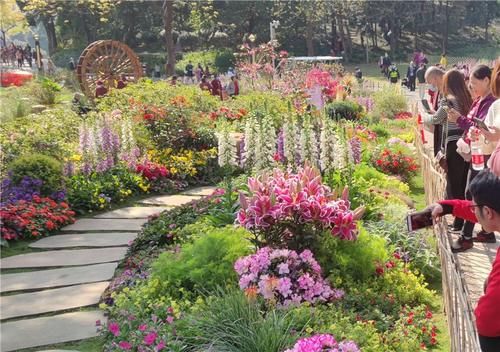 南宁|南宁：大年初一春光明媚 游客人民公园内悠游赏花