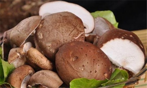 延缓衰老|聪明的人最爱吃4种食物,补血益气,清理肠胃,延缓衰老