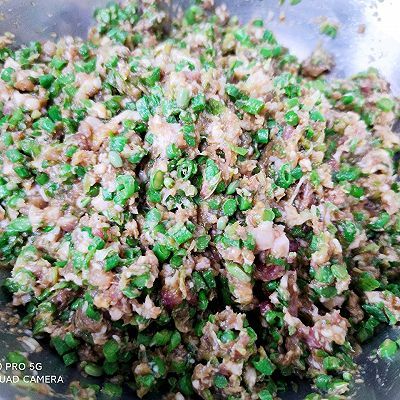 营养均衡|猪肉豆角饺子