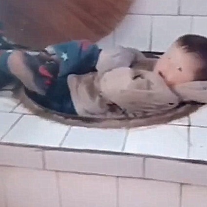 农作物|宝宝被送去农村,奶奶一个不注意,宝宝找到个好“床铺”,太逗了