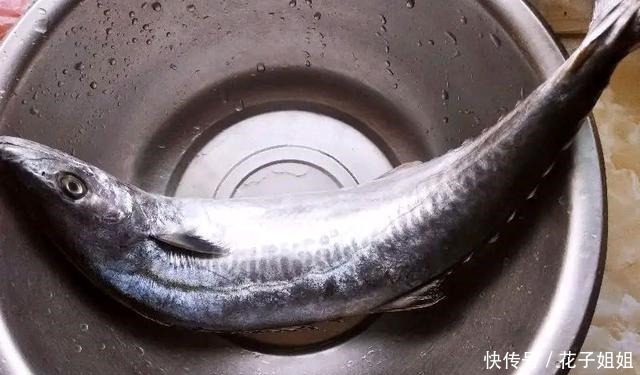 海鲜市场上比较便宜的8种海鱼,目前还无法养殖!看见了千万别错过