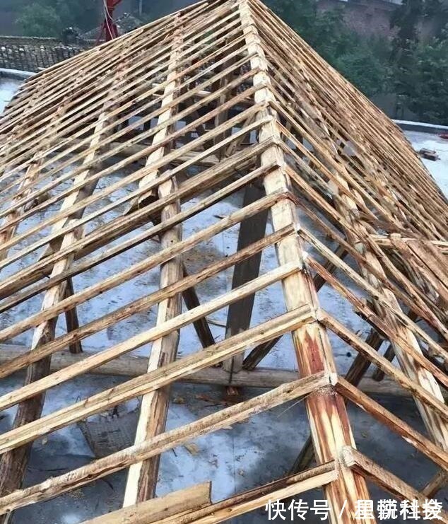 齐家敏敏|农村小伙给父母盖的养老房,2万多的大门全村轰动,纷纷吐槽丑