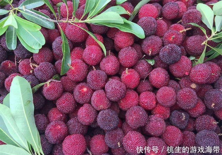 聪明人都在吃3种食物，美容养生、延缓衰老，谁吃谁受益！