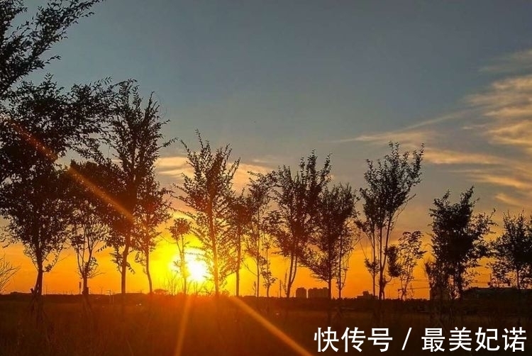 岁月如歌#年暮梅红｜学海觅挚友，文坛铸诗心（诗词七首）