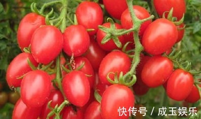 圣女果|很有营养的3种食物,排毒养颜、延缓衰老,身体棒棒哒!