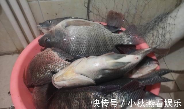 搭配|浅谈双钩的饵料搭配，科学搭配可提高钓鱼效率