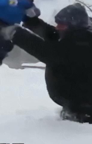 “南方人穿拖鞋到东北旅游?!”哈哈哈哈哈哈哈哈哈