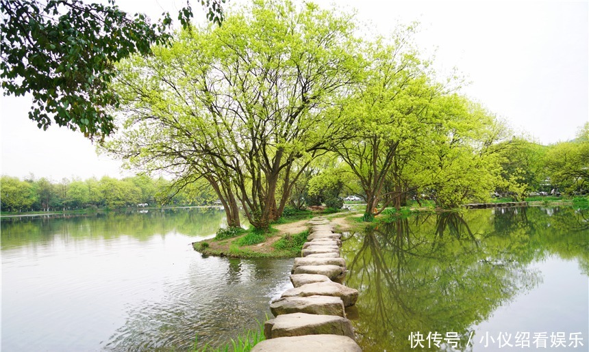 木棉|杭州的春天也太早了，来茅家埠赏风景挖野菜，寻找春天的气息