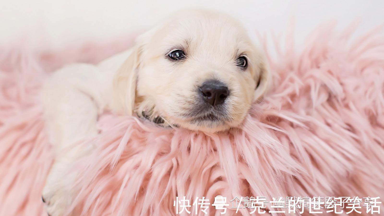 |幽默笑话:男友花钱一向大手大脚,在我们交往没多久后