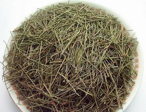 花盆里加这些东西,再也不怕花卉烂根黄叶了