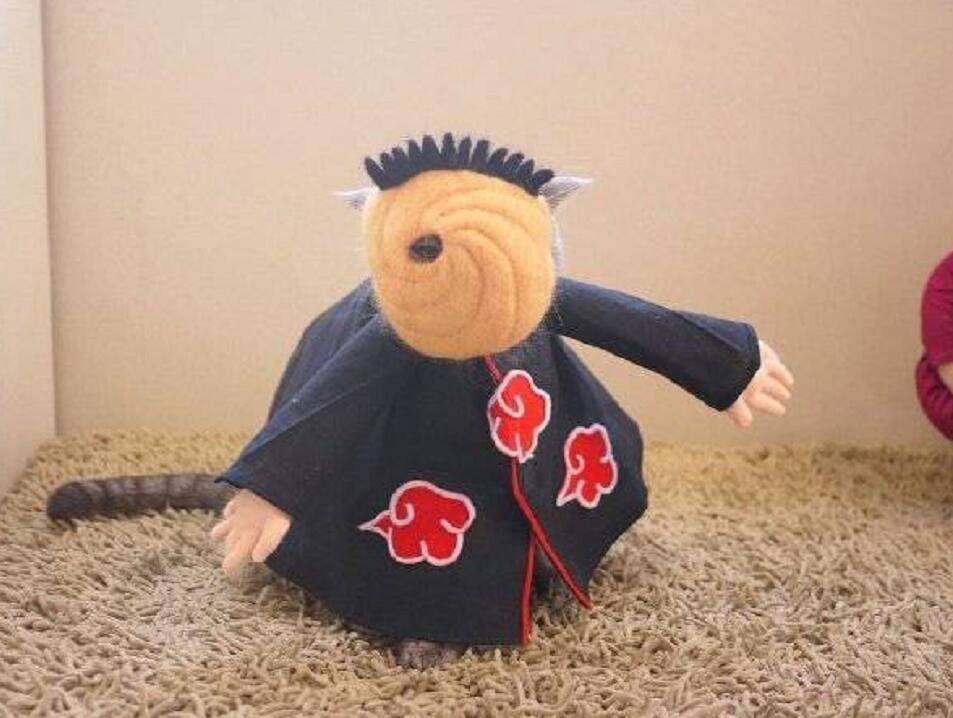 只猫|当猫cosplay《火影》,认出斑爷,认出鼬,能认出小樱吗