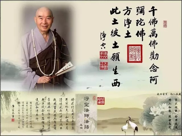  老实|妄念随他去，不要去理会