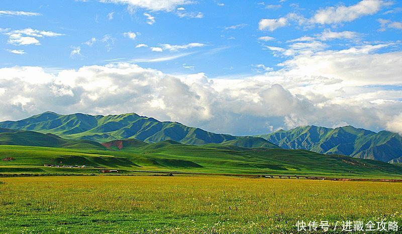 老年|为什么甘南被称为“九色甘南”?九种颜色分别是什么?