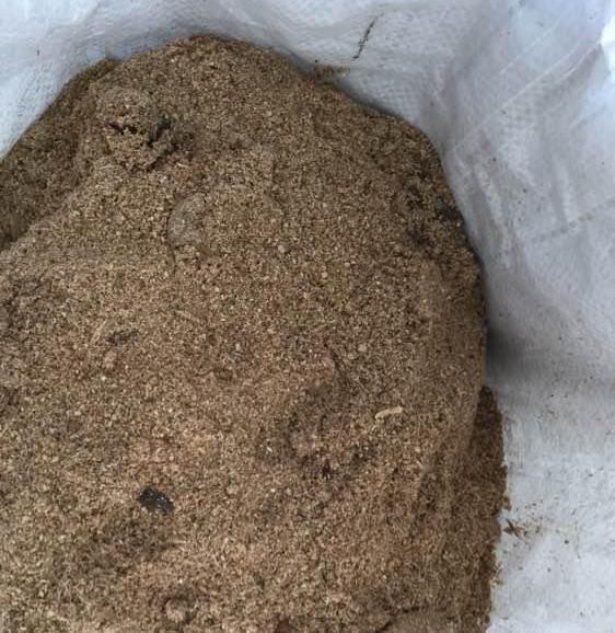 养花|3种“有机肥”,随手盆栽“埋”1点,根系缠绕,开花“爆”盆