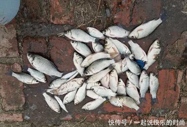 配方|秋冬想钓大鲫鱼,没有给力的窝料怎么行,这个配方有奇效,别错过