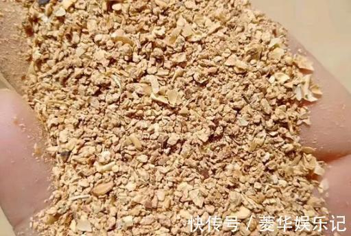 养君子兰、长寿花,盆里撒点“万能肥”,新芽猛长,呼呼开花!