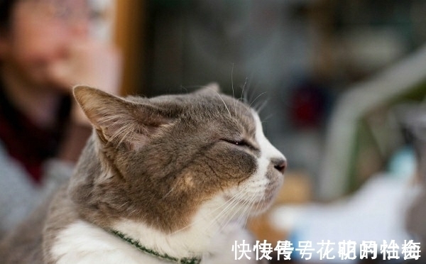 |内涵段子:出差前,在老婆包里放了一个定位仪,又在老王家