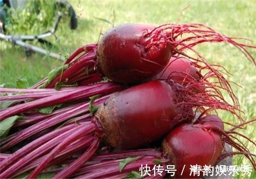 血管|女性要美容,离不开4种食物,养护血管,净化血液,滋养女性子宫