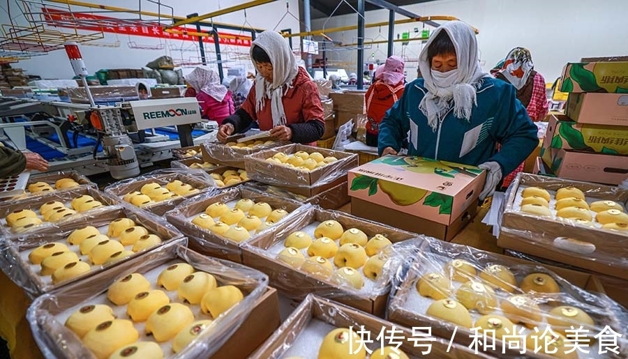 果农们|新鲜苹果成电商市场热宠