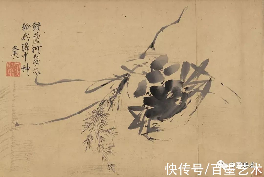 明朝@青藤白阳：明朝花鸟两大高峰