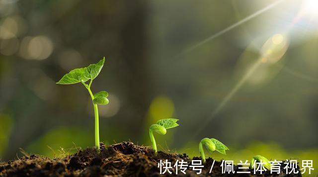 人的一生$易经:每个人的一生,都有3道坎,忍耐过去的人,才能变得强大