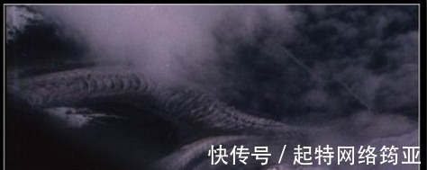 龙眼睛#种种迹象表明,中国传说中的龙可能真的存在,日本就有龙的标本