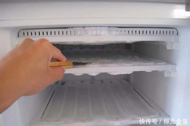 花盆|钓鱼用不完的蚯蚓,可以这样保存,都不用花钱再买了