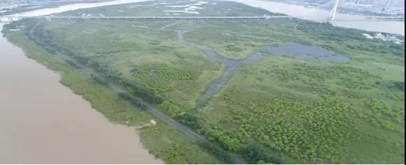 冰雪|美翻了！黑龙江又添两处避暑好去处