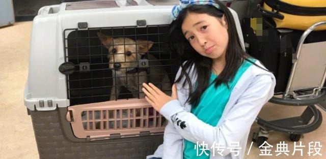 亲子类|《爸爸去哪儿》小公主夏天，明明是混血儿，近照却越长越像妈妈！