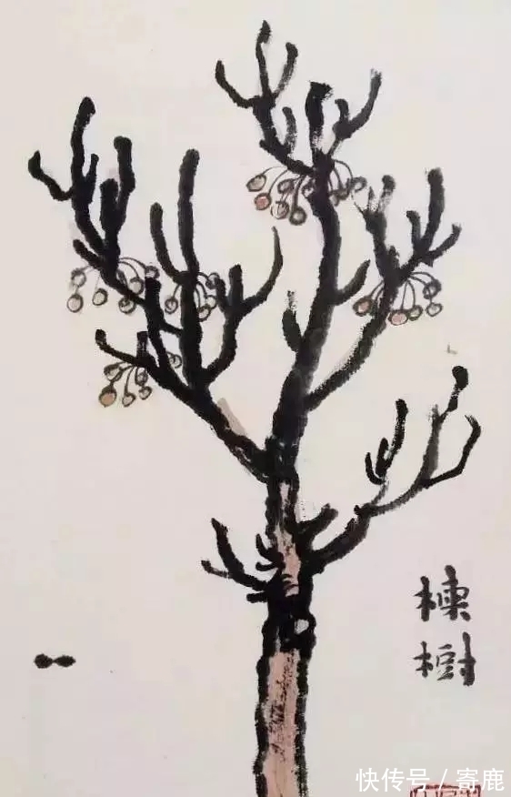 画树#国画教程|陆俨少树法