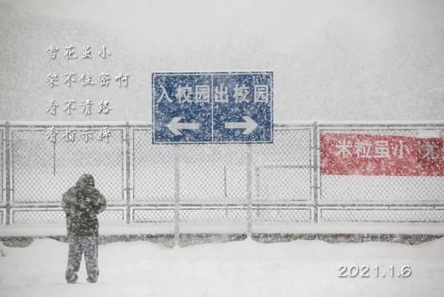 唯有雪花真绝色，飘落时节动师大