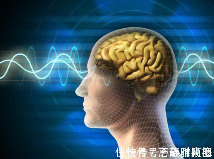 特征|教育专家卢勤坦言:“天才”宝宝有4个特征,家长别不在意