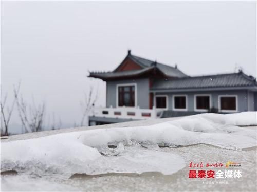 下雪|泰山又下雪啦！青山原不老，为雪而白头