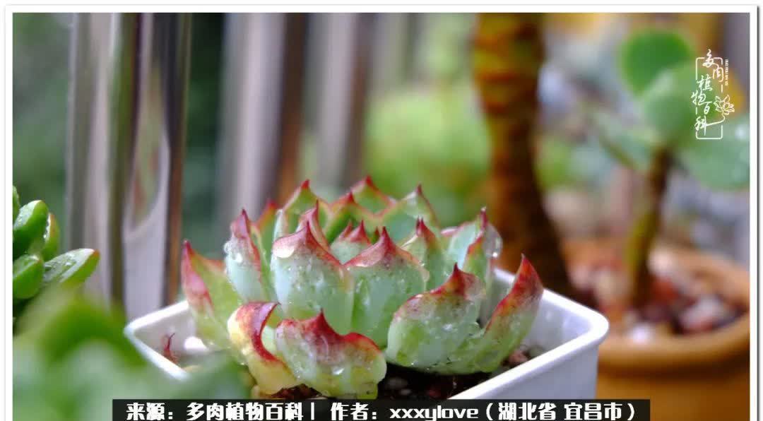 时光匆匆,一闪而逝,这世间万物的美,都值得被记录!