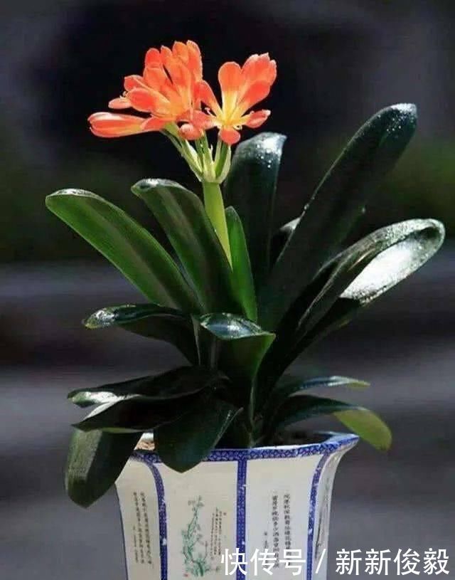 君子怀德,君子不器,君子中庸——论语中有关君子的语句