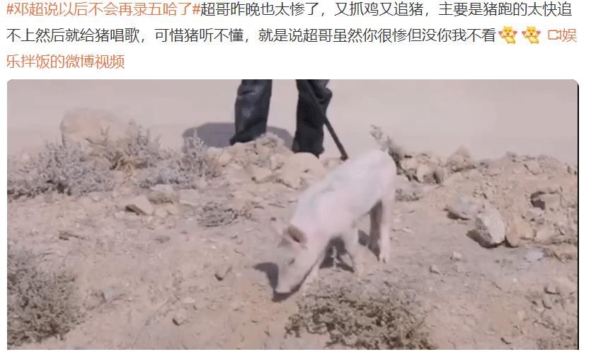 鄧超在五哈中捉豬，沒(méi)料到豬比他聰明，鄧超：之后不會(huì)在錄制節(jié)目