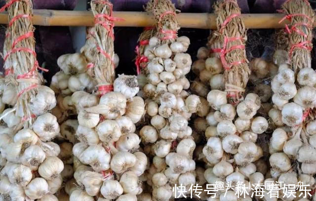 小苏打|原来保存大蒜这么简单,教你5招保存方法,大蒜放一年不发芽