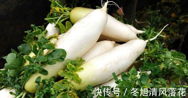 老妈|菜重芥姜，萝卜也该算上一份的吧！